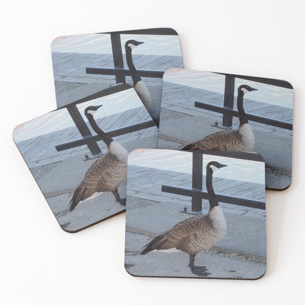 Item preview, Canada Goose Staring at The Water designed and sold by BackyardBirder.