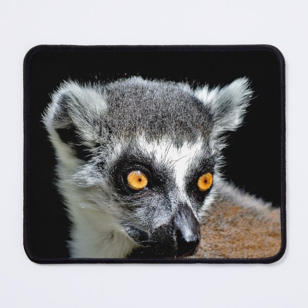 Item preview, Portrait of a ring-tailed lemur designed and sold by Vanja Rosenthal.