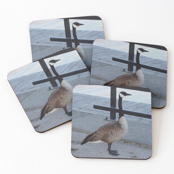 Item preview, Canada Goose Looking At The Camera designed and sold by BackyardBirder.