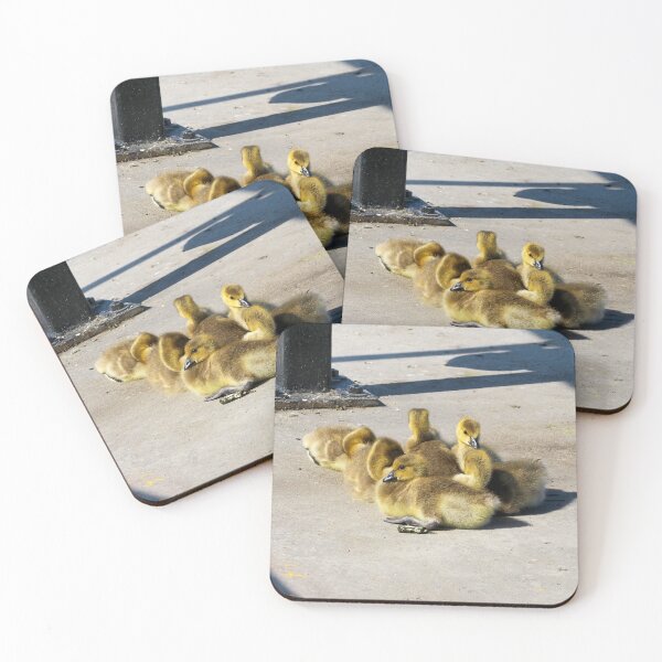 Item preview, Goslings Huddling Together designed and sold by BackyardBirder.