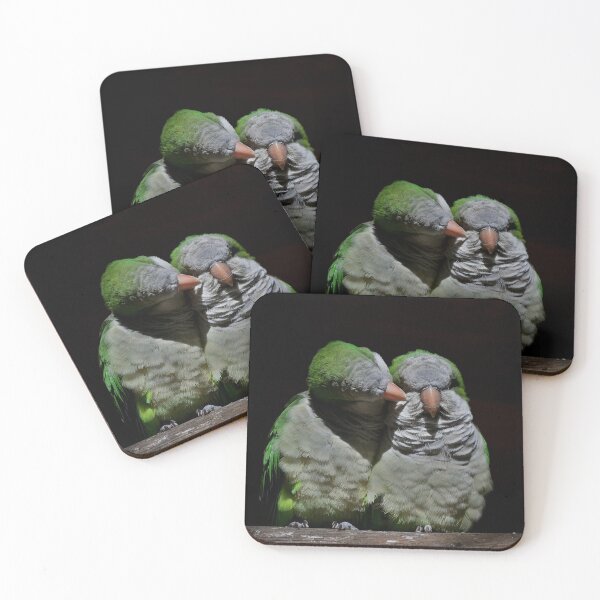 Item preview, Two cuddling quaker parrots designed and sold by Vanja Rosenthal.