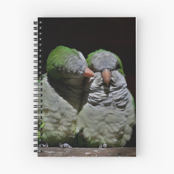 Item preview, Two cuddling quaker parrots designed and sold by Vanja Rosenthal.