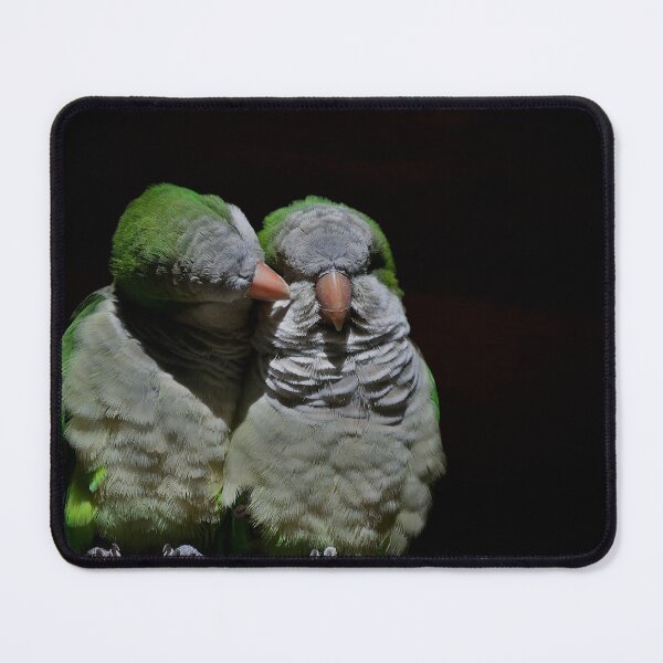 Item preview, Two cuddling quaker parrots designed and sold by Vanja Rosenthal.