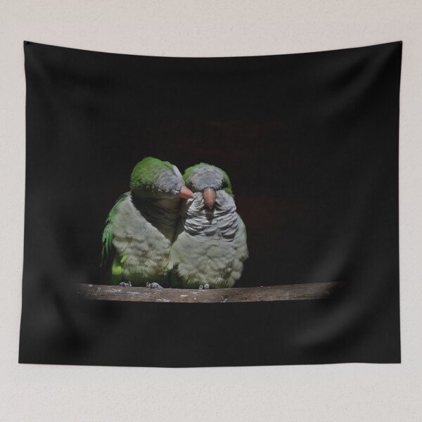 Item preview, Two cuddling quaker parrots designed and sold by Vanja Rosenthal.
