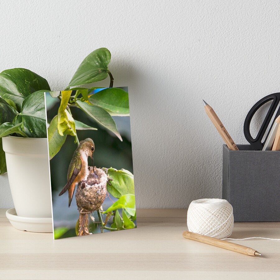 Item preview, Art Board Print designed and sold by MCHerdering.
