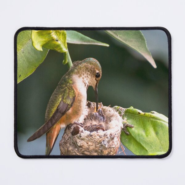 Item preview, Feeding Time designed and sold by MCHerdering Photography.