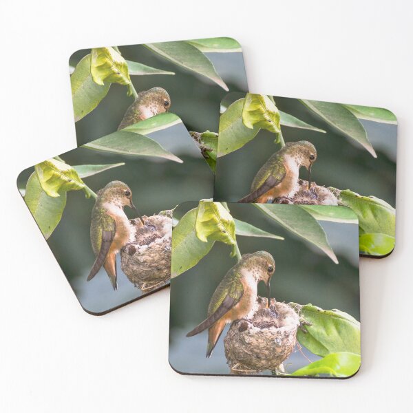 Item preview, Feeding Time designed and sold by MCHerdering Photography.