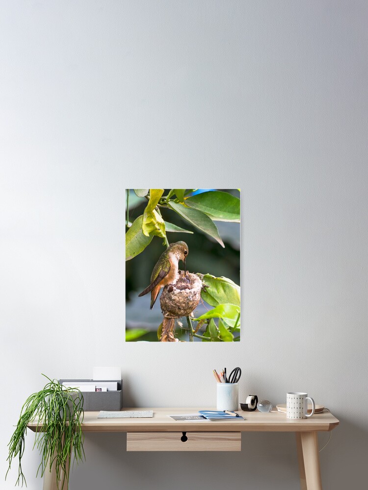 Thumbnail 2 of 3, Poster, Feeding Time designed and sold by MCHerdering.