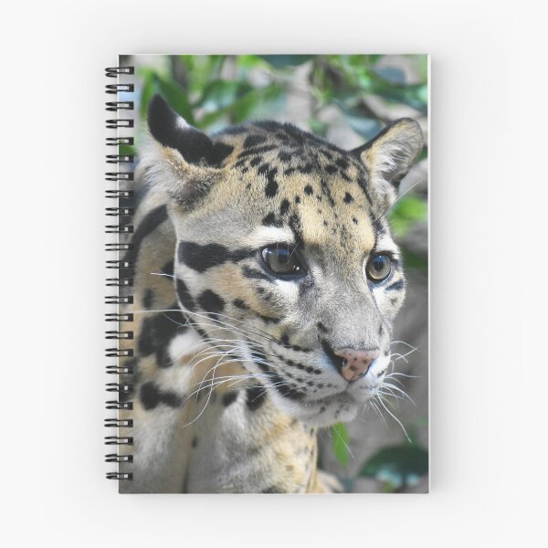 Item preview, Clouded Leopard Cub designed and sold by Len Bomba.