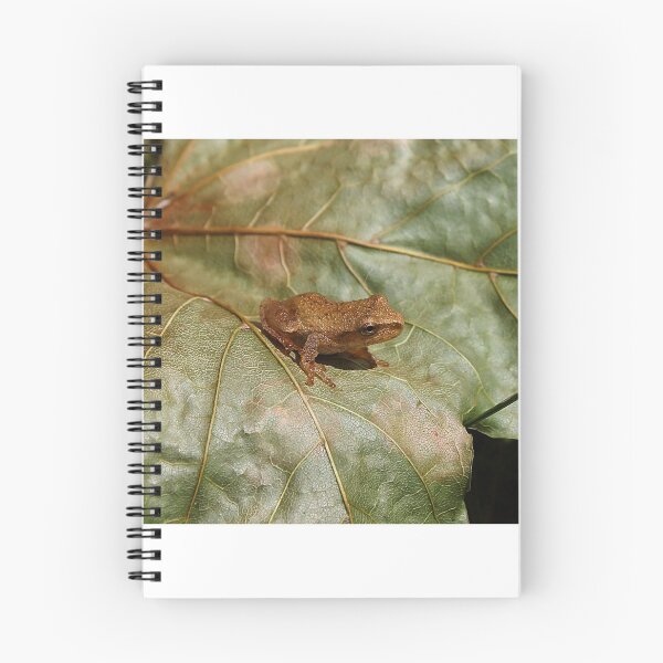 Item preview, Tiny Toad designed and sold by Melissa Glabay.