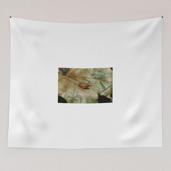 Item preview, Tiny Toad designed and sold by Melissa Glabay.