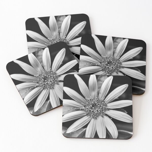 Item preview, Black and white sunflower  designed and sold by Jmb67.