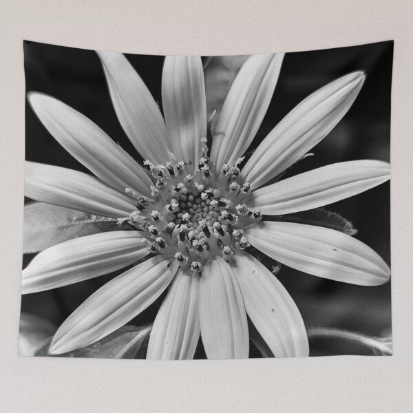 Item preview, Black and white sunflower  designed and sold by Jmb67.