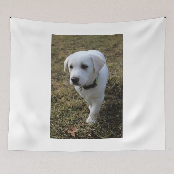 Item preview, Toffee designed and sold by Melissa Glabay.