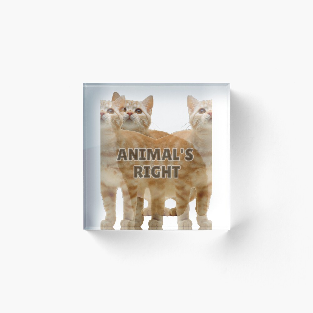 Item preview, Acrylic Block designed and sold by Awadh2829.