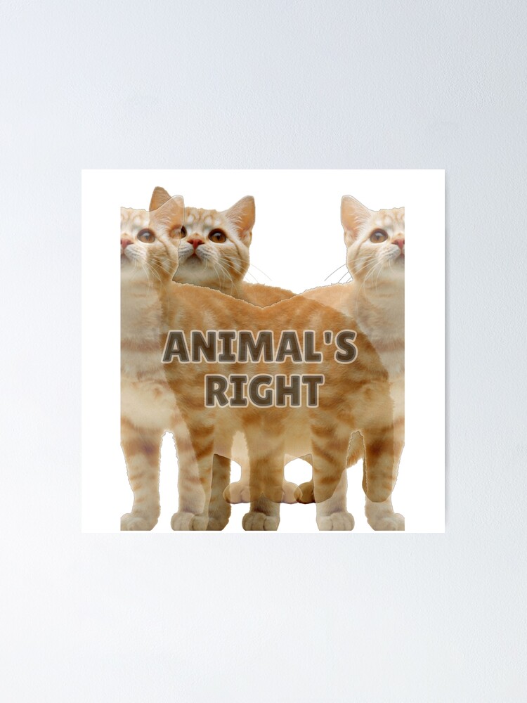 Thumbnail 1 of 3, Poster, Animal's Right designed and sold by Awadh2829.