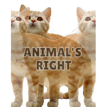 Artwork thumbnail, Animal's Right by AWADHESH CHAURASIA