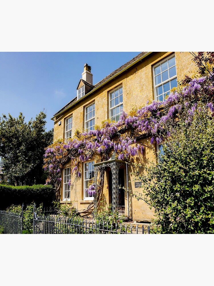 Wisteria by ScenicViewPics