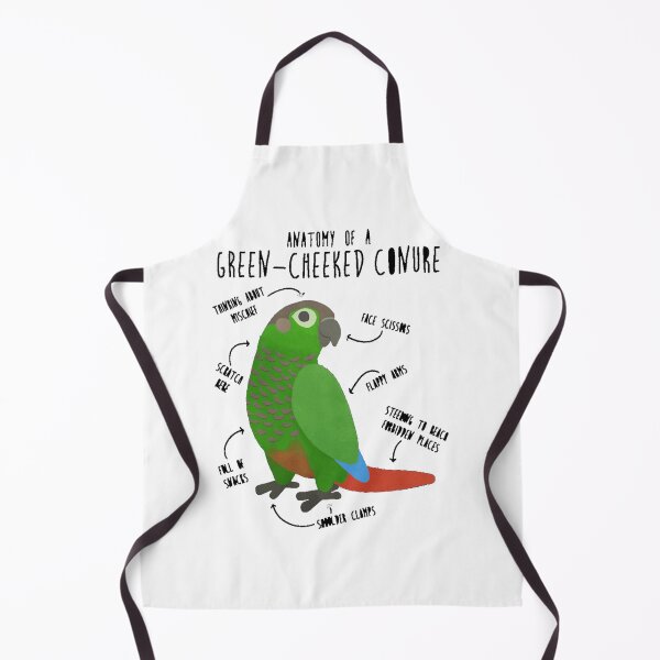 Item preview, Male Eclectus Parrots designed and sold by dex1one.