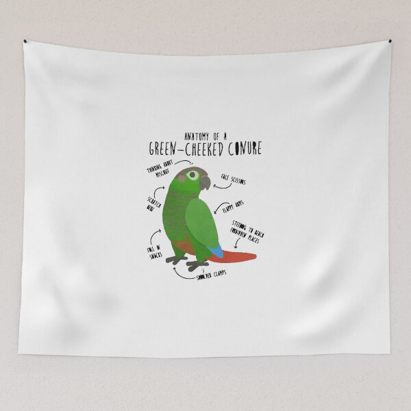 Item preview, Male Eclectus Parrots  designed and sold by dex1one.
