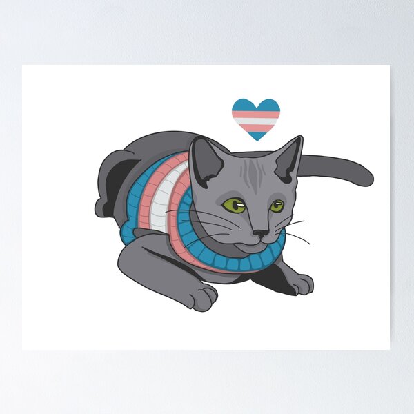 Artikelvorschau, Katze trägt Pullover mit Transgender-Flagge entworfen und verkauft von ZetasMedia.