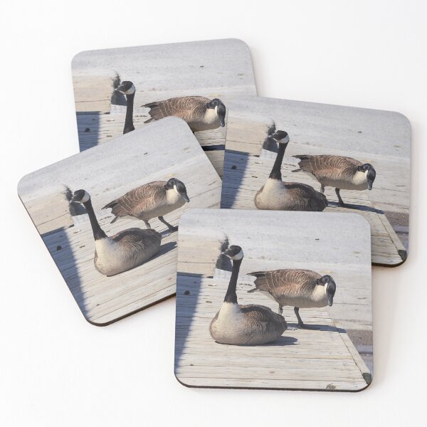 Item preview, Two Canada Geese Resting On a Boat Dock designed and sold by BackyardBirder.