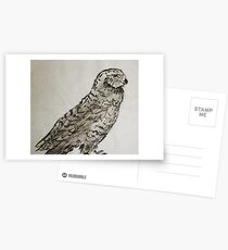 Snow Owl Postcards