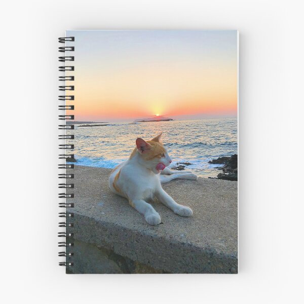 Artikelvorschau, Katzenartiger Sonnenuntergang in Chania entworfen und verkauft von Global Nomad.