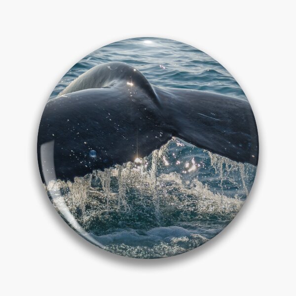 Item preview, Humpback Tail Flukes designed and sold by Jan Fijolek.