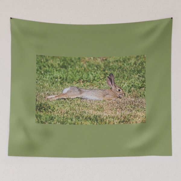 Item preview, Cottontail Rabbit Stretching designed and sold by CarolM.