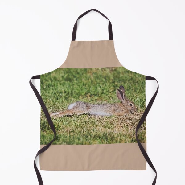 Item preview, Cottontail Rabbit Stretching designed and sold by CarolM.