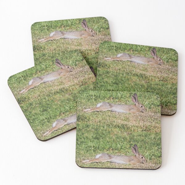 Item preview, Cottontail Rabbit Stretching designed and sold by CarolM.