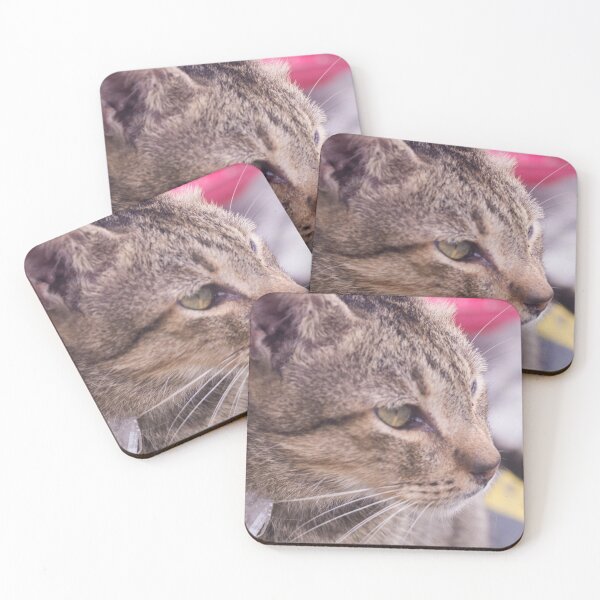 Item preview, Cat Looking Afar designed and sold by ROSE ANN BANILAR.