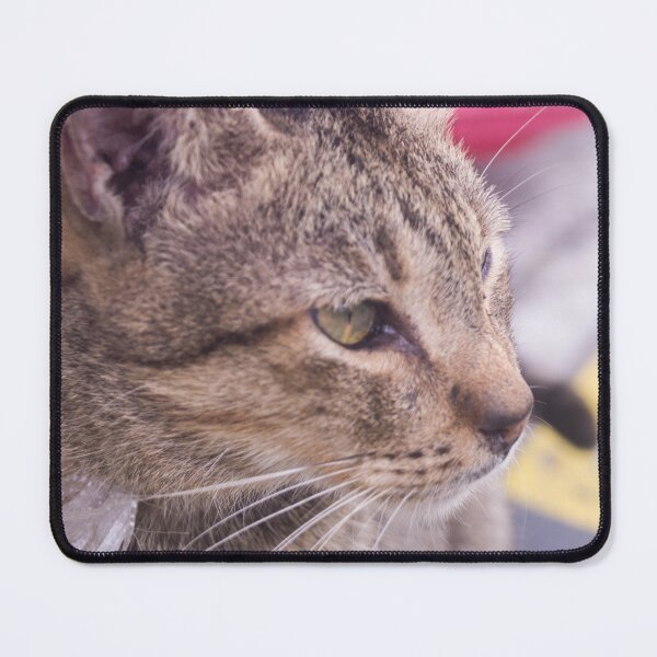 Item preview, Cat Looking Afar designed and sold by ROSE ANN BANILAR.