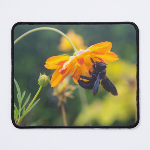 Item preview, Carpenter Bee designed and sold by ROSE ANN BANILAR.