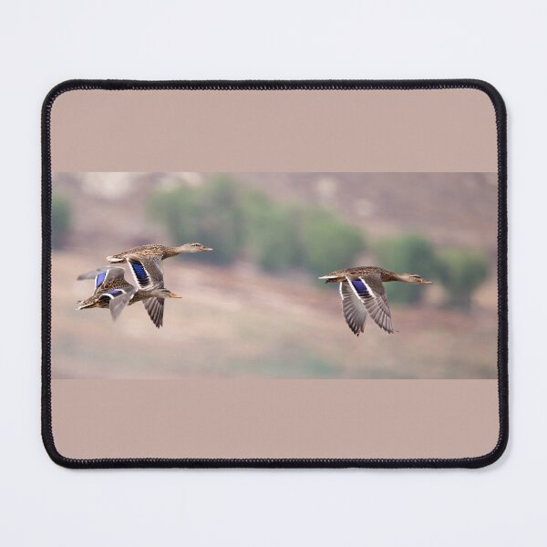 Item preview, Mallard Ducks in Flight designed and sold by CarolM.