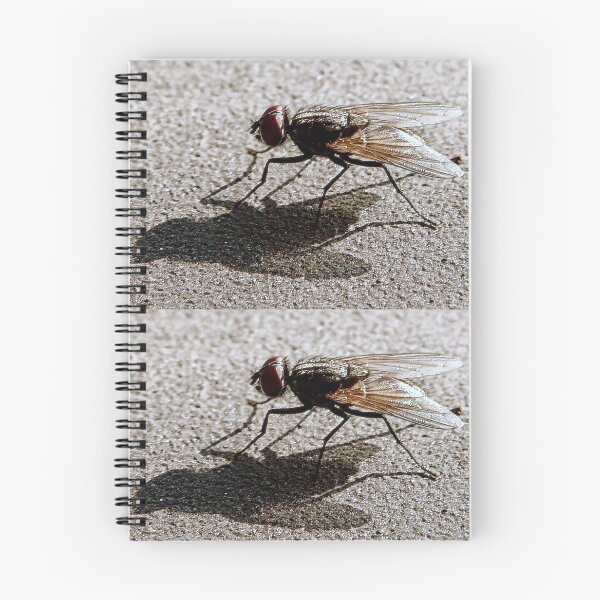 Item preview, Come Fly With Me designed and sold by Carla Jensen.