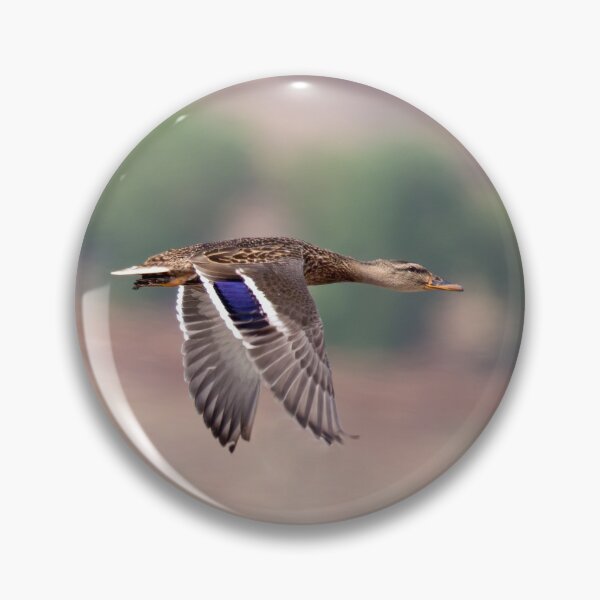 Item preview, Mallard Ducks in Flight designed and sold by CarolM.
