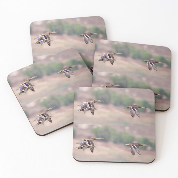 Item preview, Mallard Ducks in Flight designed and sold by CarolM.