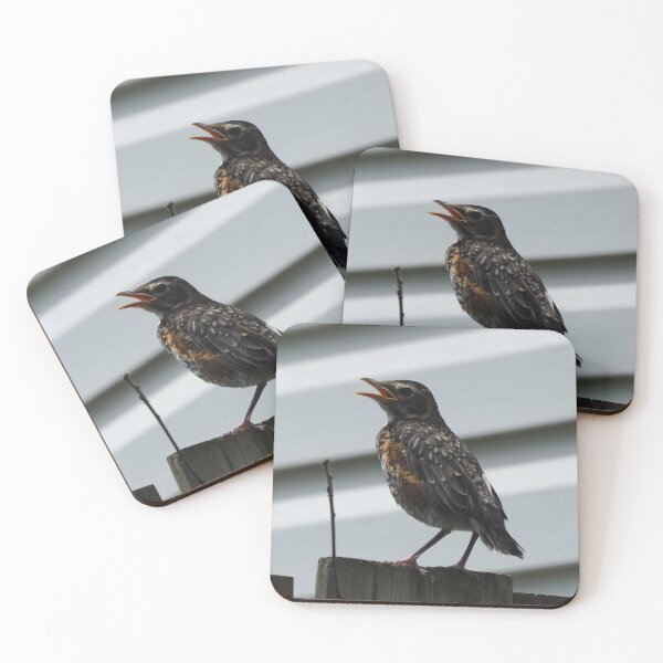 Item preview, Young American Robin With Its Mouth Opened designed and sold by BackyardBirder.