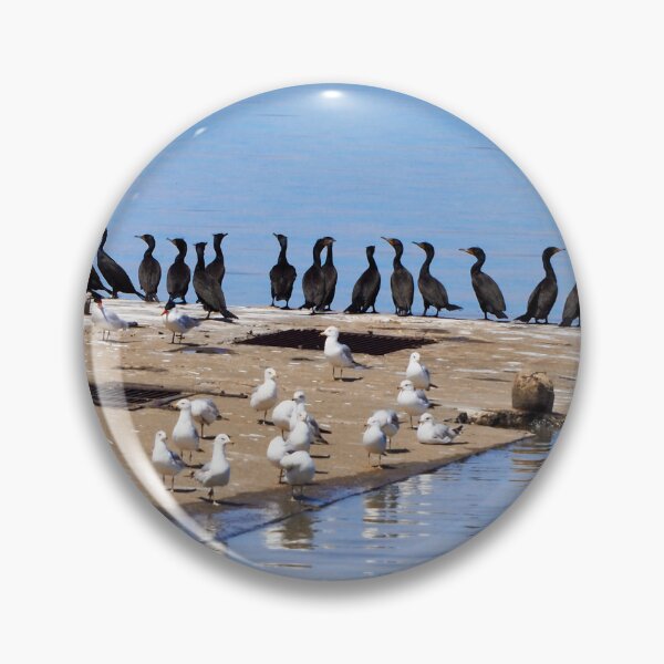 Item preview, Flock Of Cormorants, Gulls and Terns On a Boat Dock designed and sold by BackyardBirder.