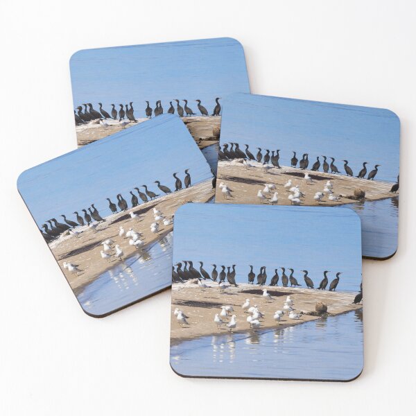 Item preview, Flock Of Cormorants, Gulls and Terns On a Boat Dock designed and sold by BackyardBirder.