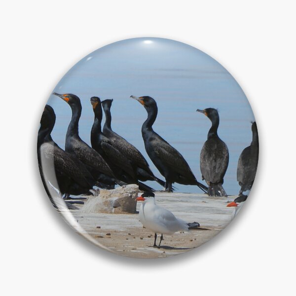 Item preview, Cormorants and Terns Resting On a Dock. designed and sold by BackyardBirder.