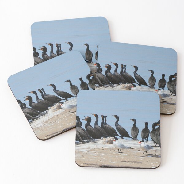 Item preview, Cormorants and Terns Resting On a Dock. designed and sold by BackyardBirder.