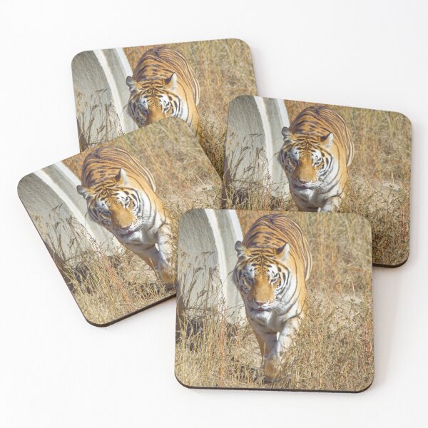 Item preview, Great Tiger walking his path designed and sold by littlecolor.
