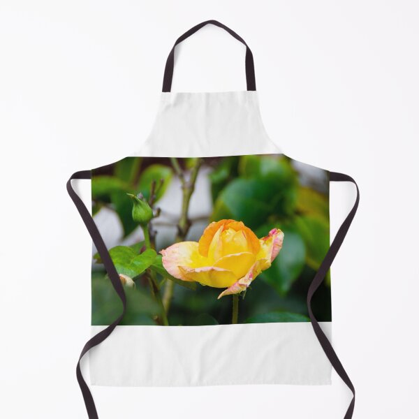 Item preview, A late September rose designed and sold by jchanders.