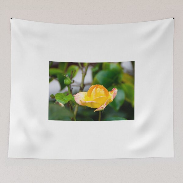 Item preview, A late September rose designed and sold by jchanders.