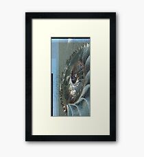 Beach Collage Framed Print