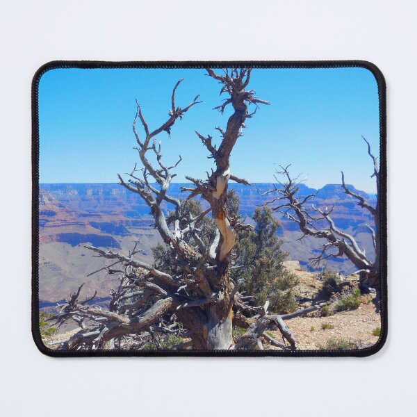 Item preview, twisted tree designed and sold by vogtvisions.