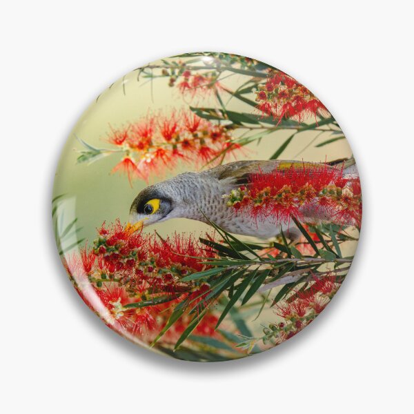 Item preview, Noisy Miner Bird designed and sold by robdwildlife.